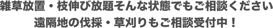 雑草放置・枝伸び放題そんな状態でもご相談ください 遠隔地の伐採・草刈りもご相談受付中！