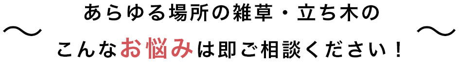 あらゆる場所の雑草・立ち木の こんなお悩みは即ご相談ください！