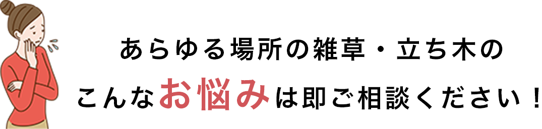 あらゆる場所の雑草・立ち木の こんなお悩みは即ご相談ください！